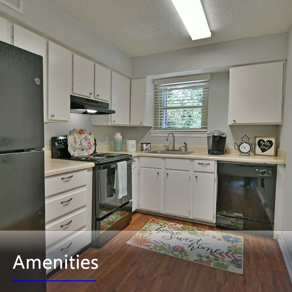 Features and Amenities